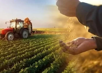 Çiftçi Kayıt Sistemi başvuruları için son tarih: 31 Aralık