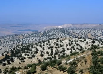 Dışişleri’nden İsrail’e ‘Golan Tepeleri’ tepkisi