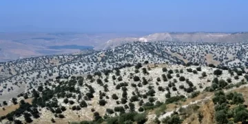 Dışişleri’nden İsrail’e ‘Golan Tepeleri’ tepkisi