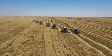 Üretim planlamasının hububat verimini artırması bekleniyor