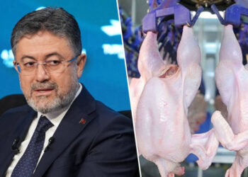 Türkiye, Avrupa Birliği’ne kanatlı et ihracatına başlıyor