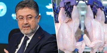 Türkiye, Avrupa Birliği’ne kanatlı et ihracatına başlıyor