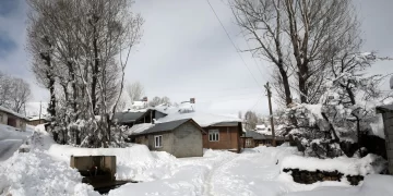 Muş’ta, 1800 rakımdaki köy karla kaplandı!