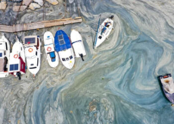 Müsilaj Bilim Kurulu toplanıyor!