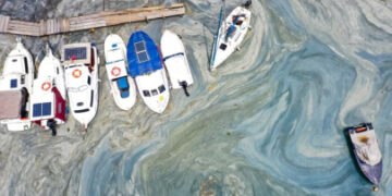 Müsilaj Bilim Kurulu toplanıyor!