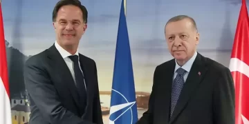 Erdoğan, NATO Genel Sekreteri Rutte ile görüştü