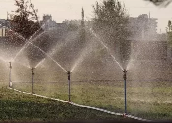 Şanlıurfa’da devlet desteğiyle maliyetler düşüyor