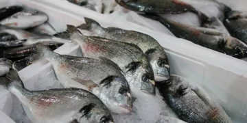 Bu yıl denizlerde 144 bin su ürünü denetimden geçti