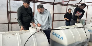 Türkiye tarımı için 250 araştırmacı projeler geliştiriyor