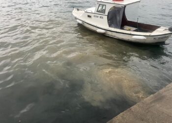 Bakanlıktan Üsküdar’da denize atık su deşarjı ile ilgili inceleme!