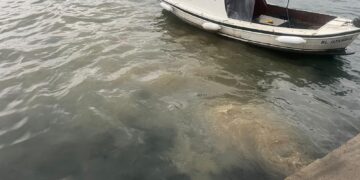 Bakanlıktan Üsküdar’da denize atık su deşarjı ile ilgili inceleme!