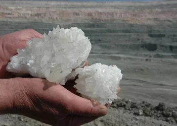 Borda 1,3 milyar dolarlık satışla rekor kırıldı