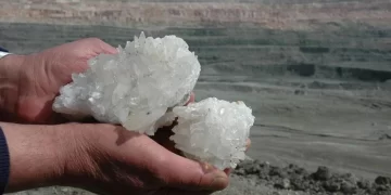 Borda 1,3 milyar dolarlık satışla rekor kırıldı