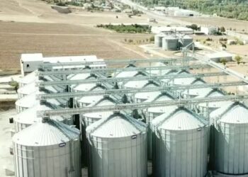 Lisanslı depolarda 9,5 milyon tonluk hububat stoğu bulunuyor