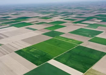 Yeni KOP Eylem Planı, Konya Ovası’nı dört farklı yönden canlandıracak