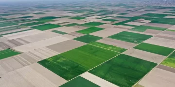 Yeni KOP Eylem Planı, Konya Ovası’nı dört farklı yönden canlandıracak