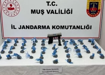 Muş’ta uyuşturucu operasyonunda 1 kişi gözaltında!