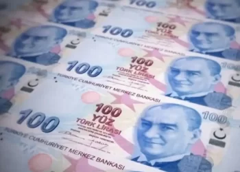 Yeni 100 TL ve 10 TL banknotlar piyasaya sunuldu