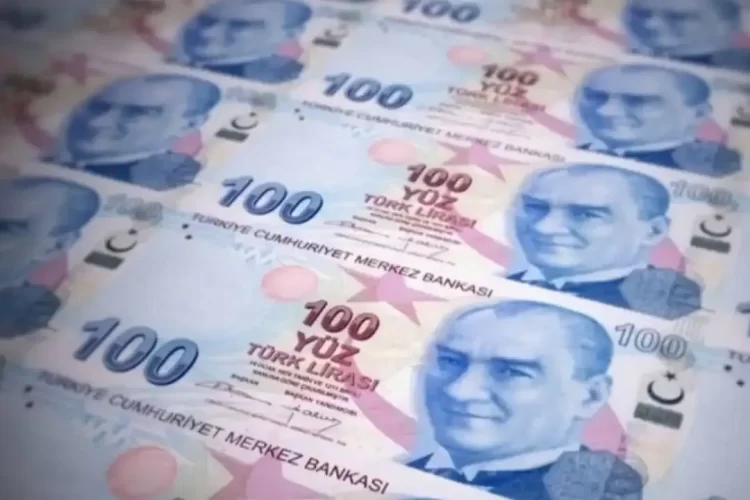 100 tl ve 10 tl lik yeni banknotlar tedavule verildi habermeydan