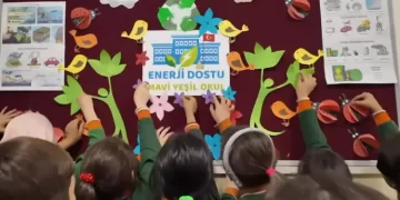 MEB “Enerji Dostu Mavi Yeşil Okul” Projesini Başlattı