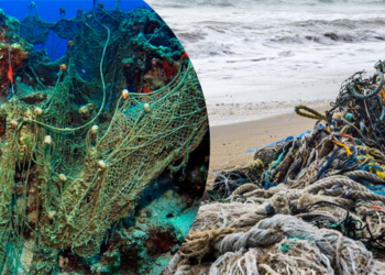 Mavi sulardan 224 futbol sahası büyüklüğünde hayalet ağ çıkarıldı