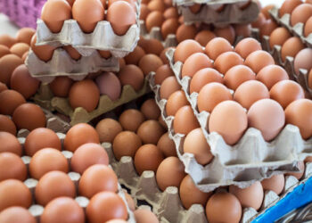 Sofralık yumurta ihracatına fon kesintisi getirildi