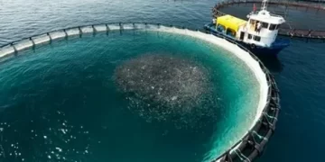 Su Ürünleri İhracatında Rekor!