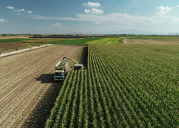 Tarımsal girdi fiyatları Aralık ayında arttı