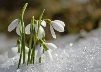 2025 Cemre tarihleri: İkinci cemre düştü mü, ne zaman düşecek?