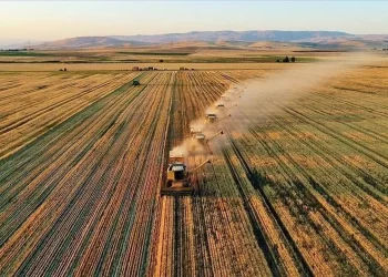 Çiftçilere 3,2 milyar liradan fazla destek ödemesi bugün yapılacak