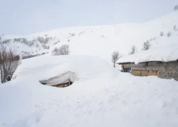 Muş’un Kalecik köyünde evler karın altında kaldı!