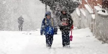 Ordu’nun bazı ilçelerinde okullar tatil edildi