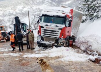 Sinop’ta, doğalgaz tüpleri taşıyan tır şarampole düştü!