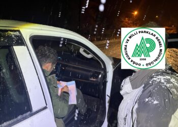 Sinop’ta, kaçak avcılık yapan 3 kişi yakalandı!