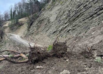 Sinop Türkeli’de etkili yağışlar toprak kaymasına neden oldu!