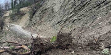 Sinop Türkeli’de etkili yağışlar toprak kaymasına neden oldu!