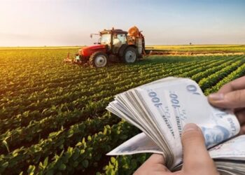 Çiftçilere 2,2 milyar lira tarımsal destek ödemesi yapılıyor