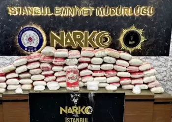 ‘NARKOKAPAN-15’ Operasyonunda 365 Kg Kokain Ele Geçirildi