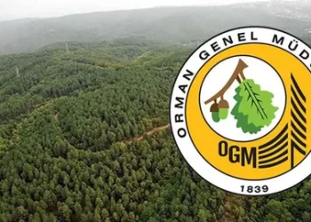Resmi Gazete’de Yayımlandı! Orman Genel Müdürlüğü 4500 Geçici İşçi Alacak
