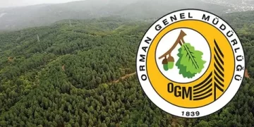 Resmi Gazete’de Yayımlandı! Orman Genel Müdürlüğü 4500 Geçici İşçi Alacak