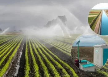 DSİ’den Yapay Zeka Destekli Sulama Otomasyonu