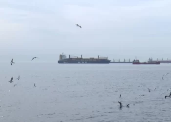 Kargo gemisi Bakırköy kıyısında karaya oturdu