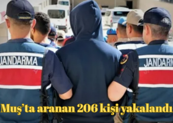 Muş’ta Jandarma denetiminde 1 haftada aranan 206 kişi yakalandı!