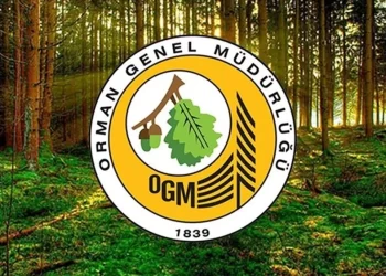2025 OGM işçi alımı başvuru şartları nelerdir