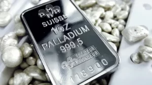 paladyum1 habermeydan