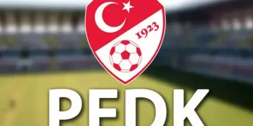 PFDK’dan 6 Süper Lig kulübüne ceza!