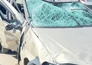 Sinop’ta, direksiyon başında rahatsızlanan sürücü bariyerlere çarptı!