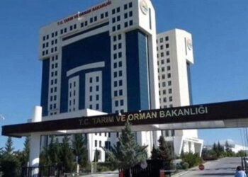 2025 Tarım ve Orman Bakanlığı personel alımı: Başvuru tarihleri, branşlar, kadrolar ve şartlar nelerdir?