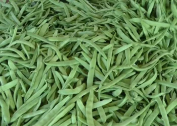 İstanbul’da Şubat ayında en çok fiyatı artan ürün taze fasulye oldu