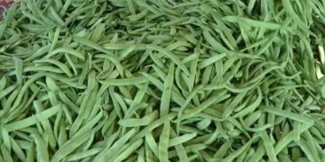 İstanbul’da Şubat ayında en çok fiyatı artan ürün taze fasulye oldu